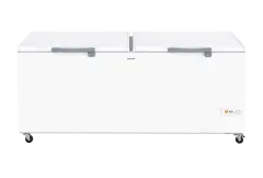 ARÇELİK 2600 DT Ticari Derin Dondurucular