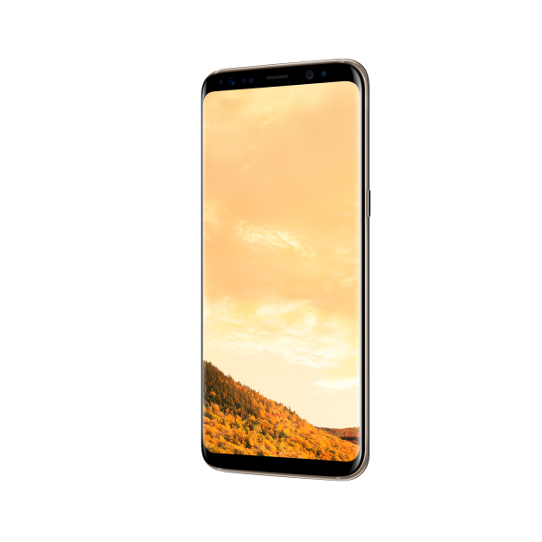 Samsung Galaxy S8 Plus Gold